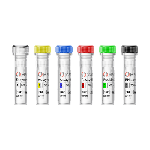 [.IT-it Italy (italian)] MammaTyper Vials 